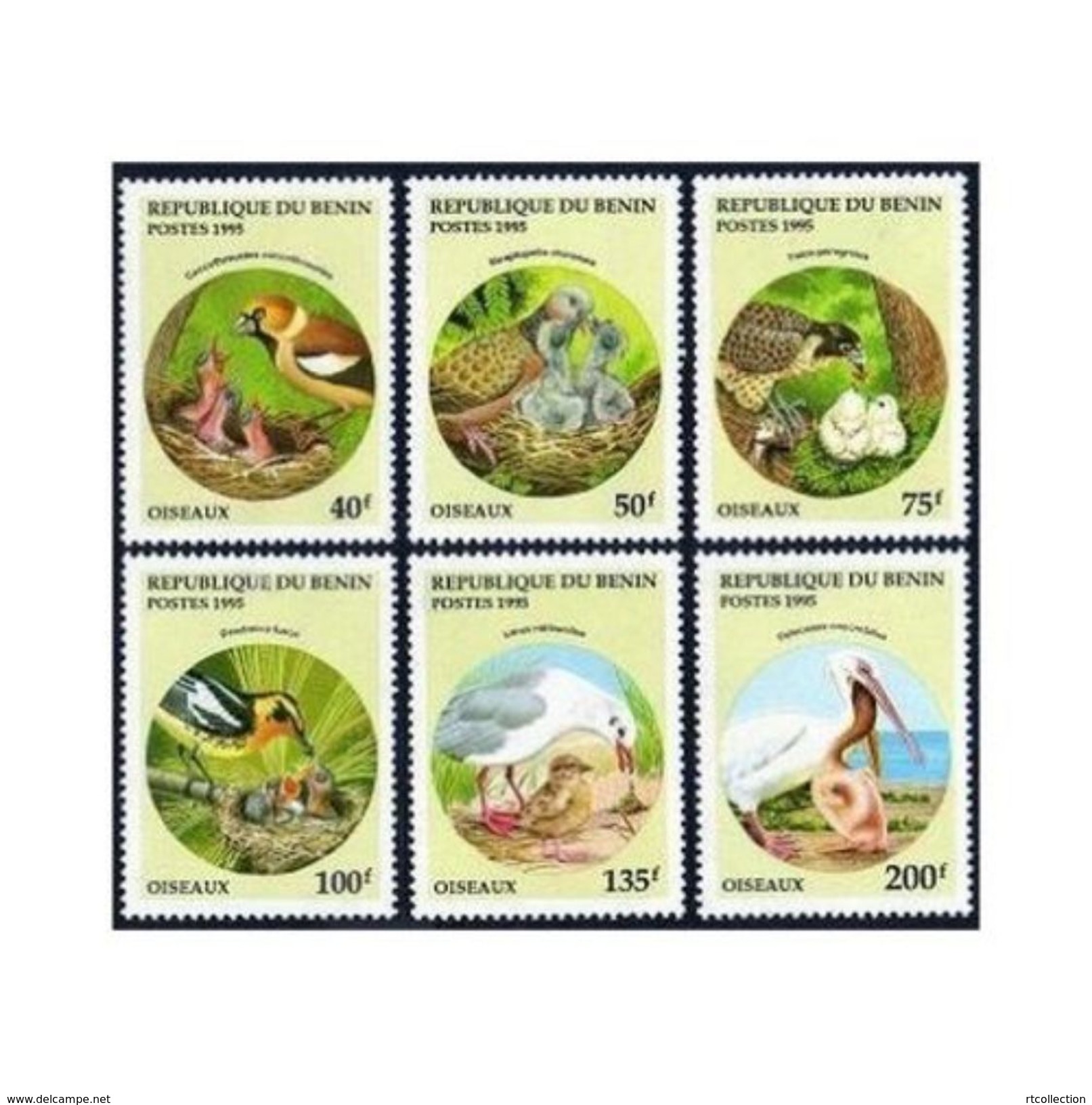 Benin 1995 Birds Feeding Their Chicks Bird Animals Animal Fauna Oiseaux Stamps MNH Michel 685-690 SG 1321-1326 - Other & Unclassified