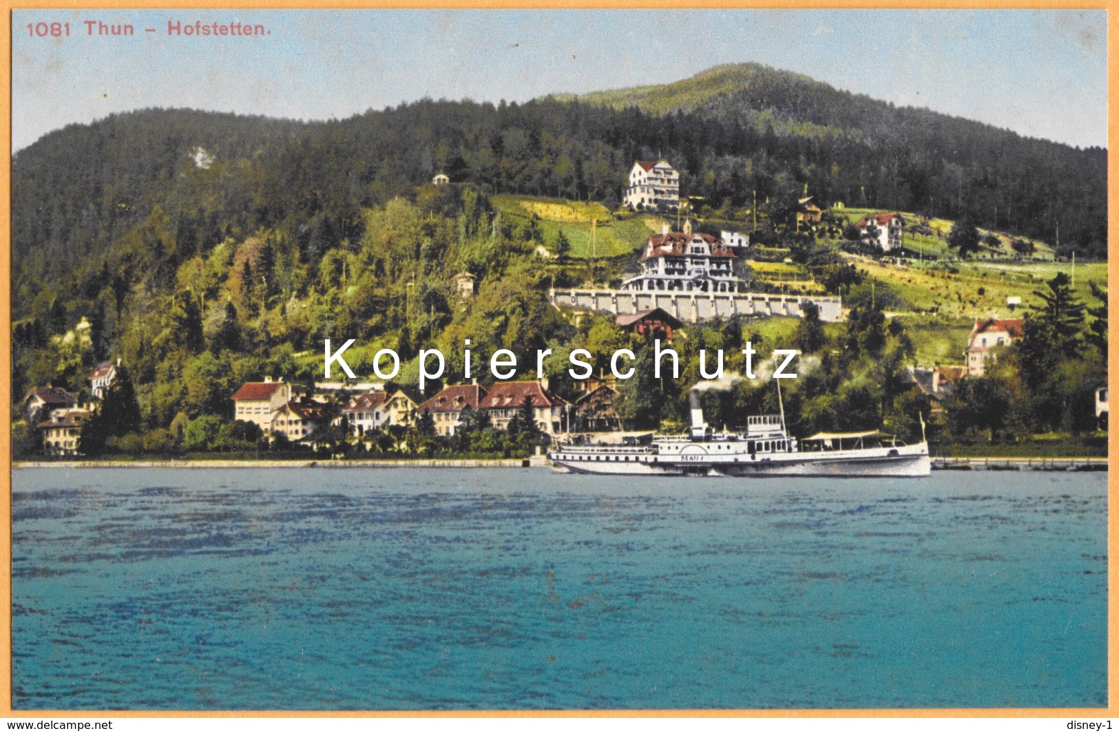 CH - Thun - Teilansicht Hofstetten - Hotel National - Dampfschiff - Schiffverkehr Thunersee Thun / Interlaken - Hofstetten Bei Brienz