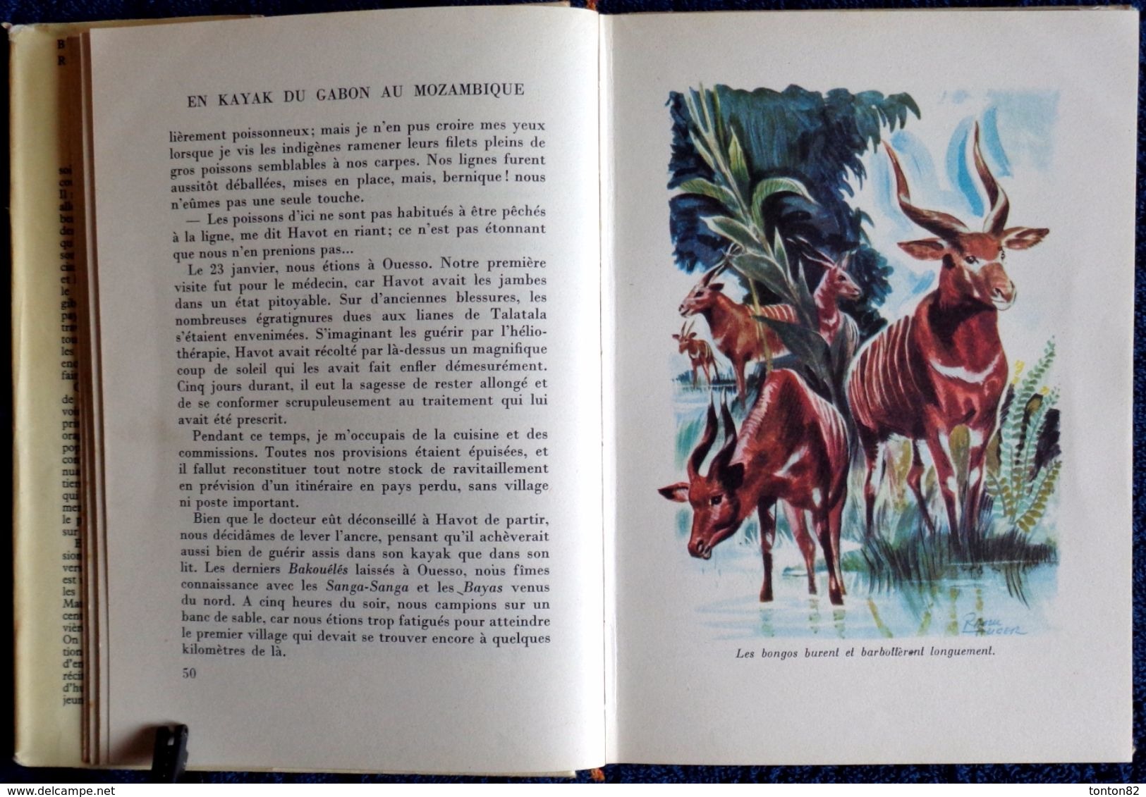 Maurice Patry - En Kayak Du Gabon Au Mozambique  - Bibliothèque Rouge Et Or Souveraine - ( 1955 ) . - Bibliothèque Rouge Et Or