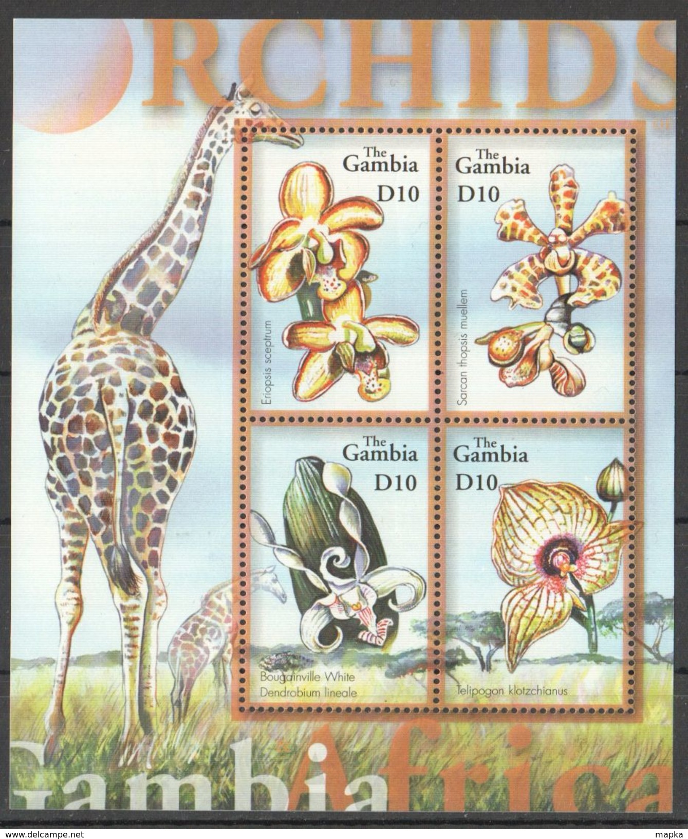 Q104 GAMBIA FLOWERS ORCHIDS OF AFRICA 1KB MNH - Orchideen