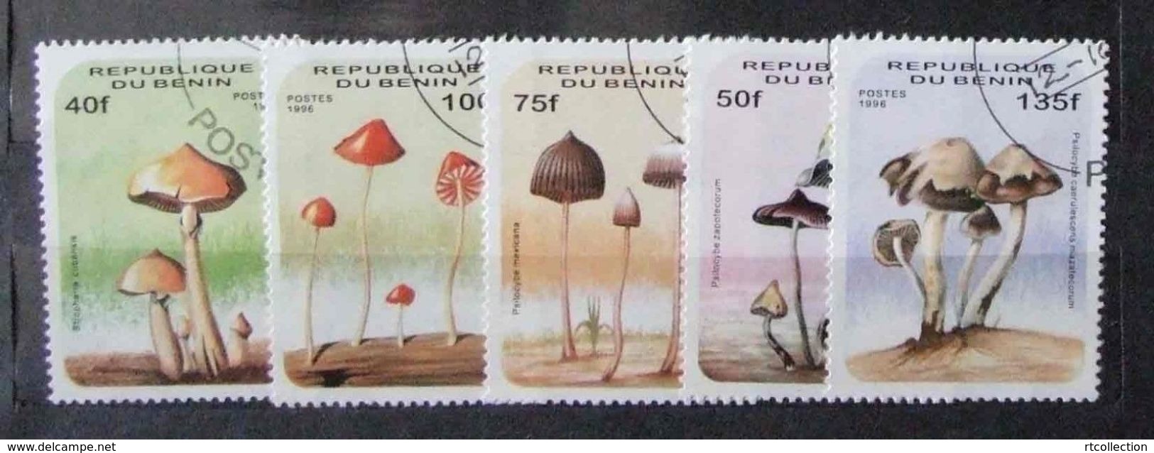 Benin 1996 Mushroom Flora Plant Plants Mushrooms Fungi Champignons Nature Stamps Used Mi 849-854 Scott 849 (one Missing) - Benin - Dahomey (1960-...)