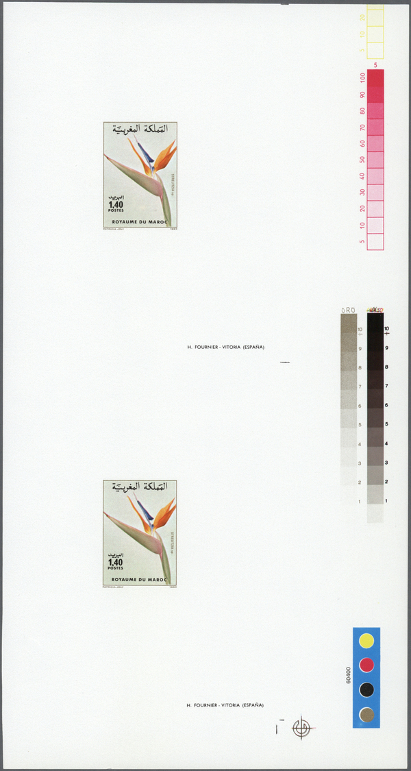 ** Thematik: Flora, Botanik / Flora, Botany, Bloom: 1983, Morocco. Lot Of 2 Proof Sheets With 2 Vertical, Imperforate De - Autres & Non Classés