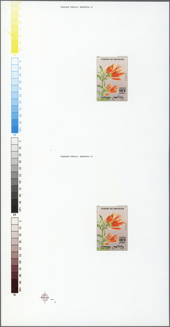 ** Thematik: Flora, Botanik / Flora, Botany, Bloom: 1983, Morocco. Lot Of 2 Proof Sheets With 2 Vertical, Imperforate De - Other & Unclassified