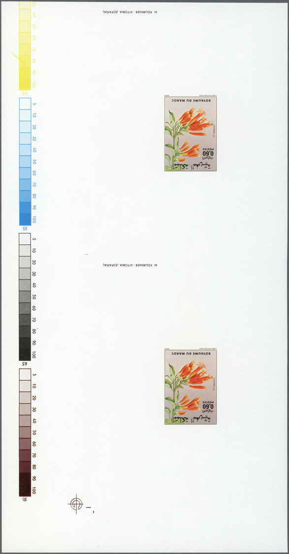 ** Thematik: Flora, Botanik / Flora, Botany, Bloom: 1983, Morocco. Lot Of 2 Proof Sheets With 2 Vertical, Imperforate De - Autres & Non Classés