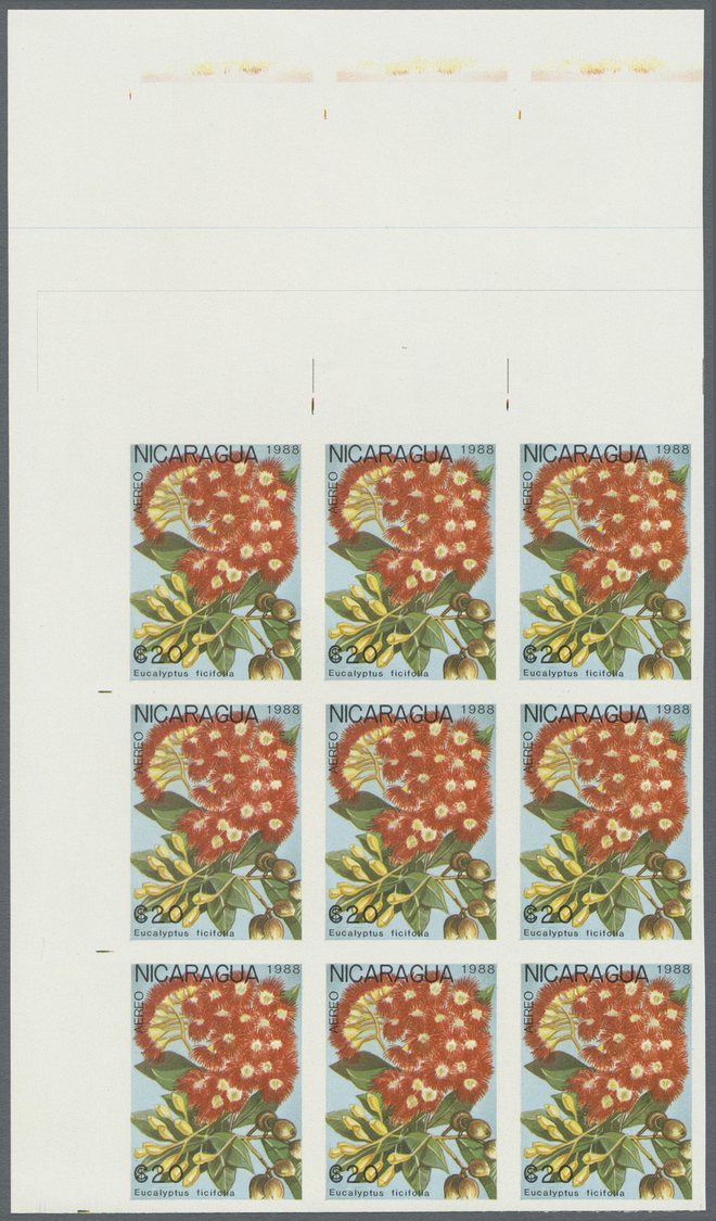 ** Thematik: Flora, Botanik / Flora, Botany, Bloom: 1988, NICARAGUA: Flowers And Plants Complete Set Of Eight Values In  - Autres & Non Classés