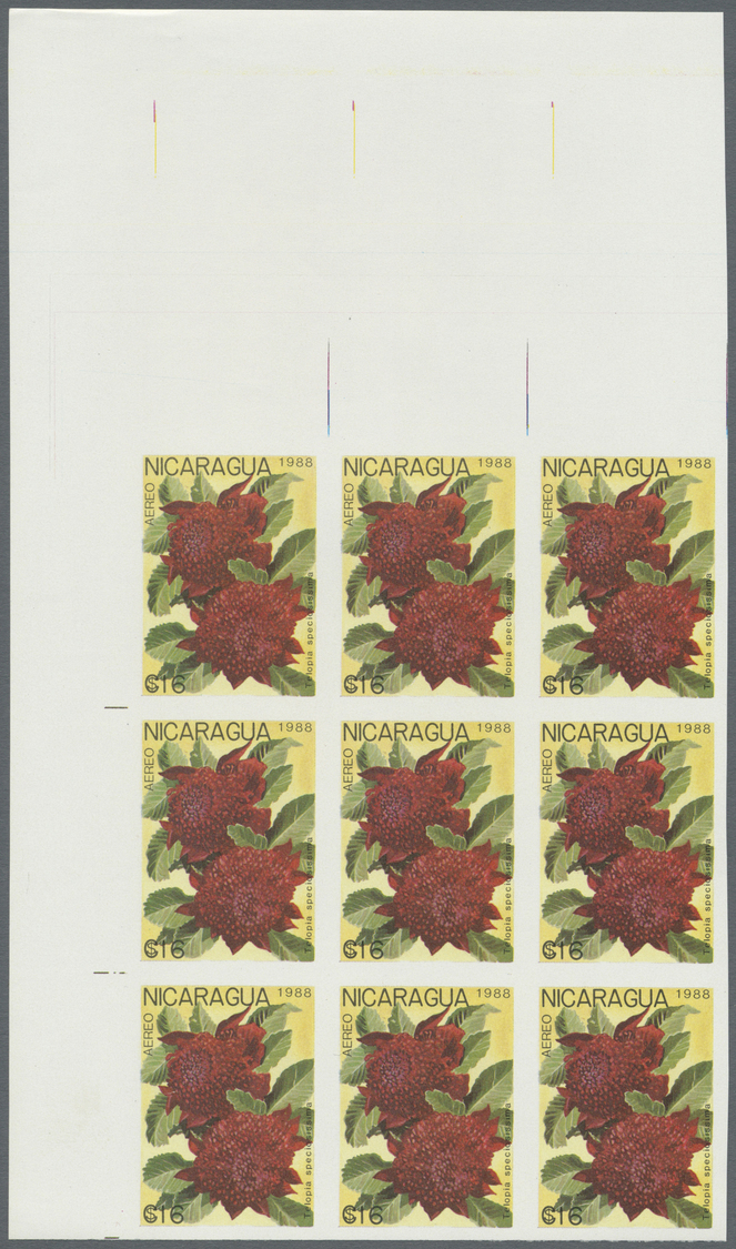 ** Thematik: Flora, Botanik / flora, botany, bloom: 1988, NICARAGUA: flowers and plants complete set of eight values in 