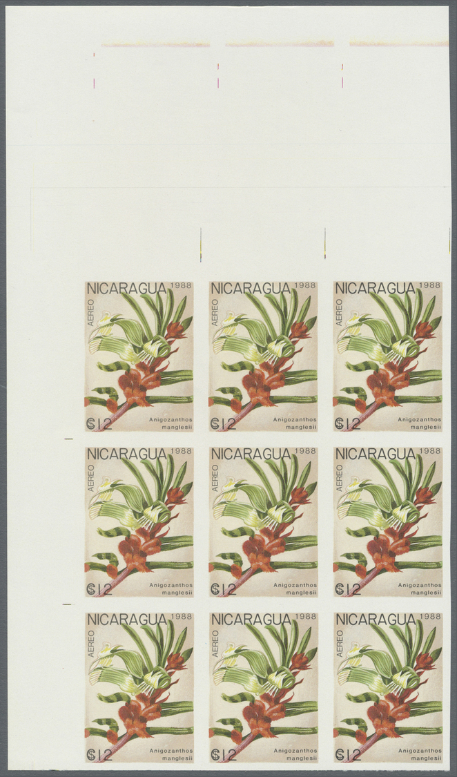 ** Thematik: Flora, Botanik / flora, botany, bloom: 1988, NICARAGUA: flowers and plants complete set of eight values in 