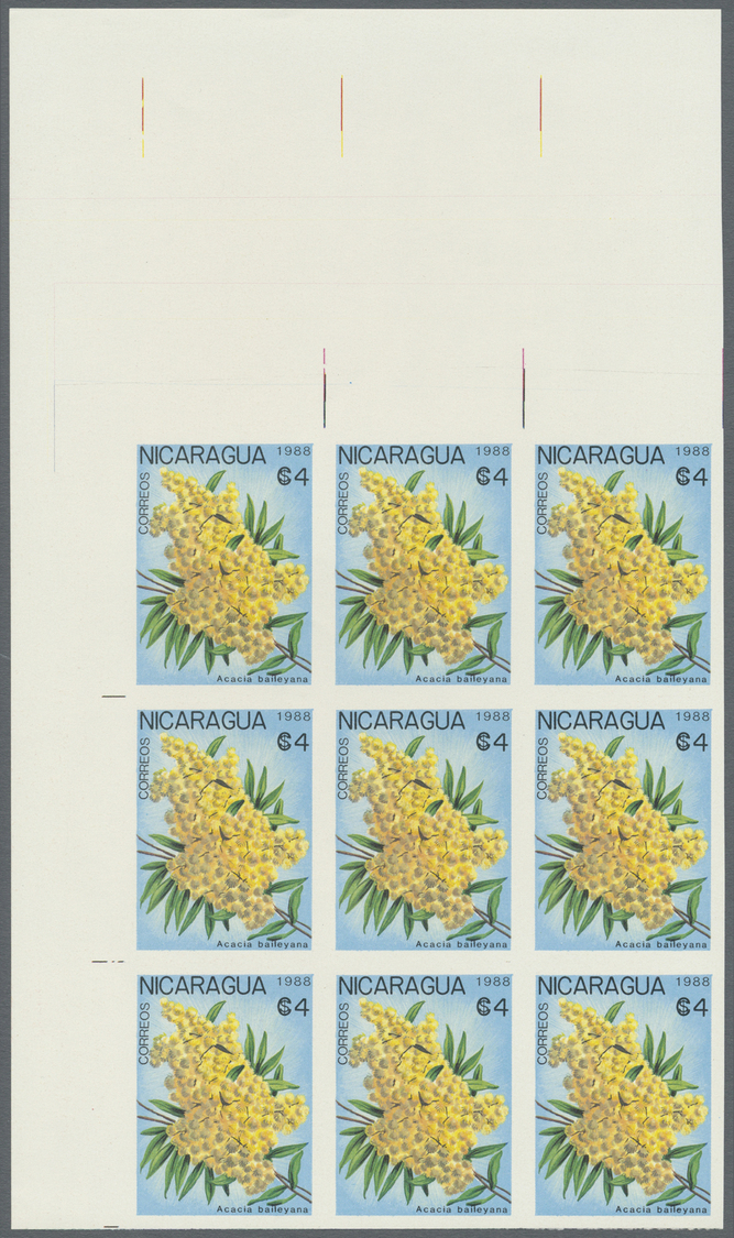 ** Thematik: Flora, Botanik / flora, botany, bloom: 1988, NICARAGUA: flowers and plants complete set of eight values in 