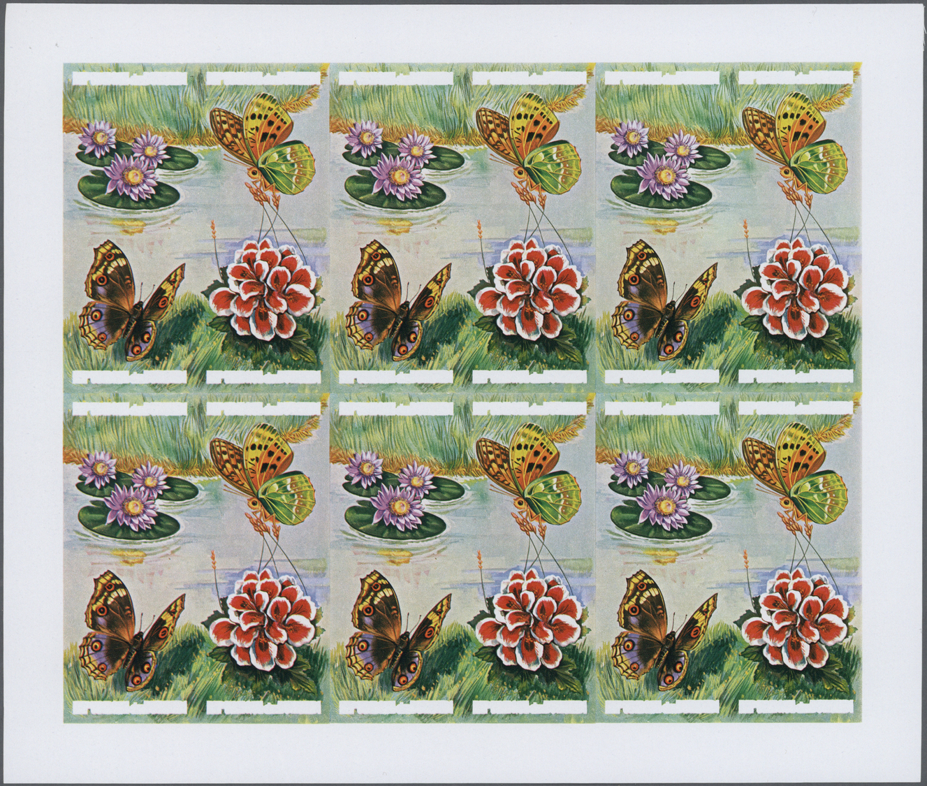 ** Thematik: Flora, Botanik / Flora, Botany, Bloom: 1973, Burundi. Progressive Proof (6 Phases) For The Four 11fr Values - Autres & Non Classés