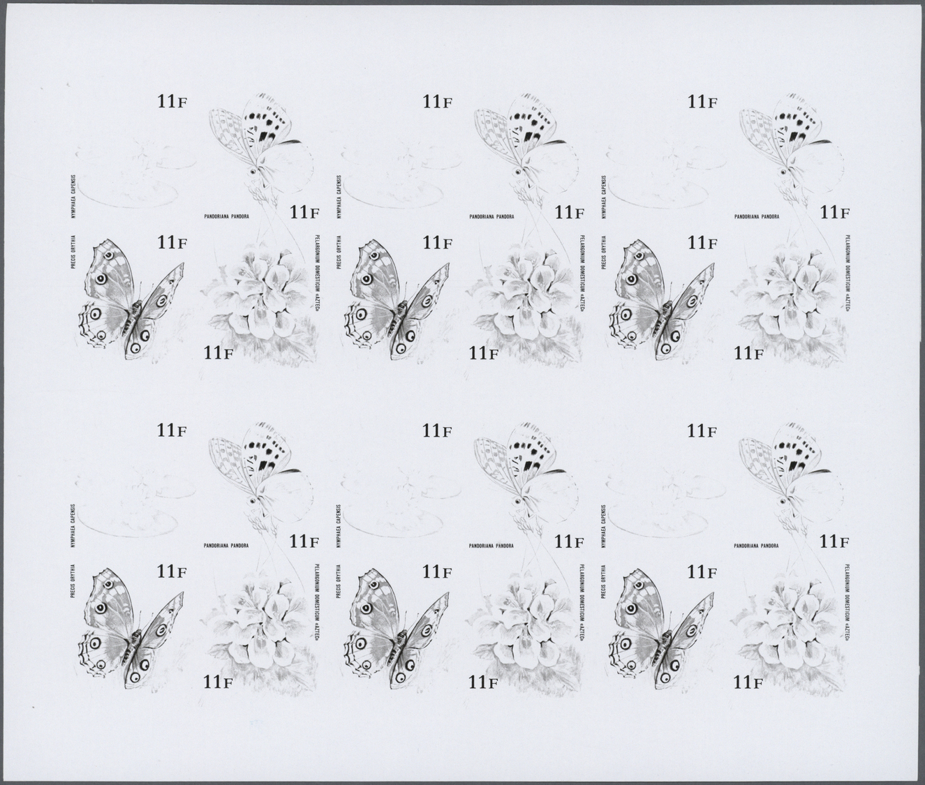 ** Thematik: Flora, Botanik / Flora, Botany, Bloom: 1973, Burundi. Progressive Proof (6 Phases) For The Four 11fr Values - Autres & Non Classés