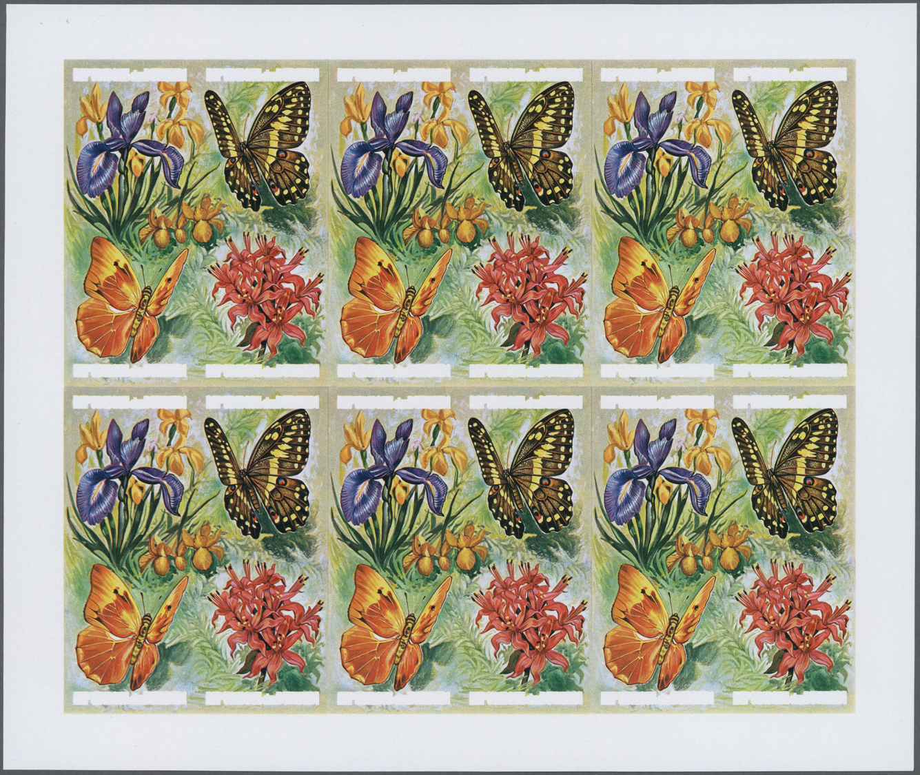 ** Thematik: Flora, Botanik / Flora, Botany, Bloom: 1973, Burundi. Progressive Proof (6 Phases) For The Four 5fr Values  - Other & Unclassified