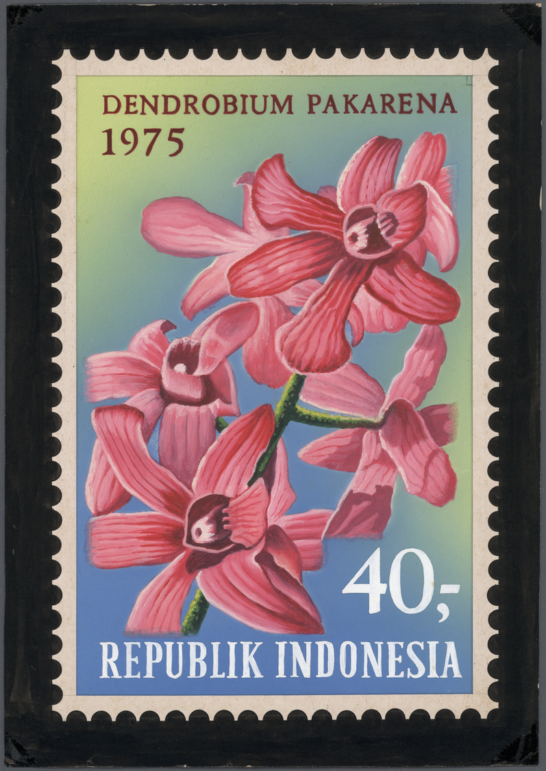 Thematik: Flora-Orchideen / Flora-orchids: 1975, Indonesia. Essay / Arts Drawing DENDROBIUM PAKARENA. IDE 40. UNIQUE! - Orchids