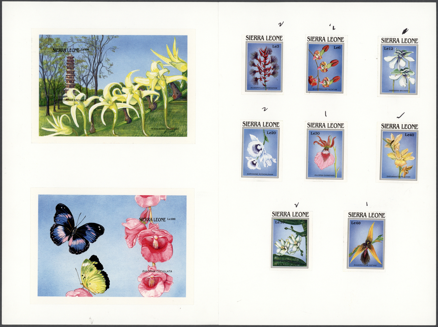 Thematik: Flora-Orchideen / Flora-orchids: 1989, Sierra Leone. Imperforate Proofs For The Complete ORCHIDS Series (8 Val - Orchids