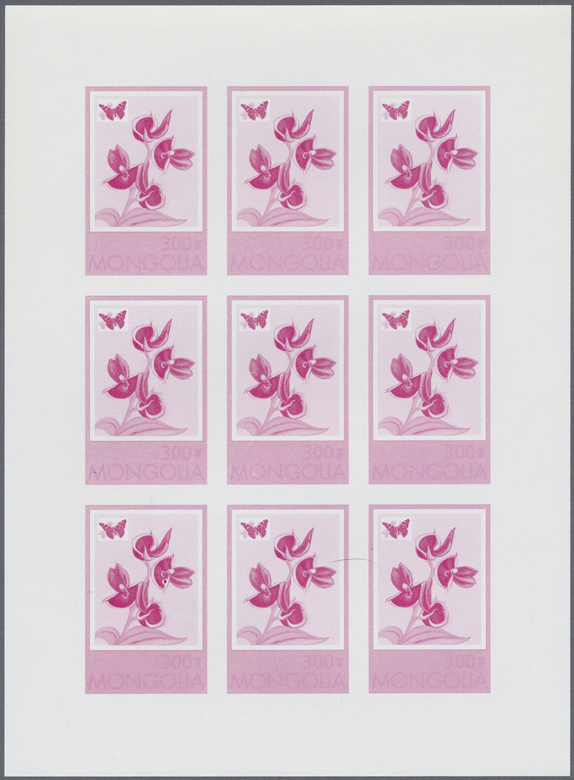 ** Thematik: Flora-Orchideen / Flora-orchids: 1997, MONGOLIA: Orchids 'Catasetum Pileatum' 300t. Sheetlet Of Nine Stamps - Orchids