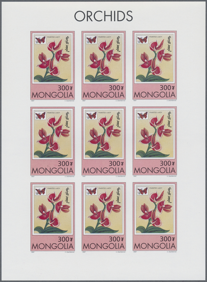 ** Thematik: Flora-Orchideen / flora-orchids: 1997, MONGOLIA: Orchids 'Catasetum pileatum' 300t. sheetlet of nine stamps