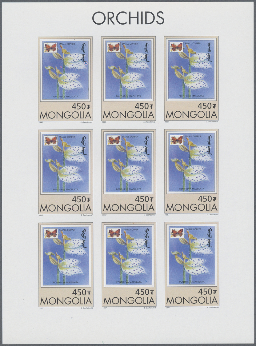 ** Thematik: Flora-Orchideen / flora-orchids: 1997, MONGOLIA: Orchids 'Ponthieva maculata' 450t. sheetlet of nine stamps