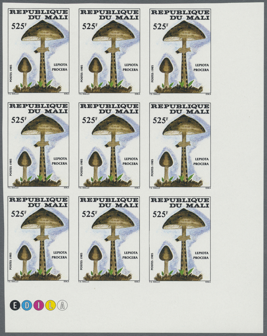 ** Thematik: Pilze / Mushrooms: 1985, MALI: Mushrooms Complete Set Of Four Values In IMPERFORATE Blocks Of Nine From Low - Mushrooms