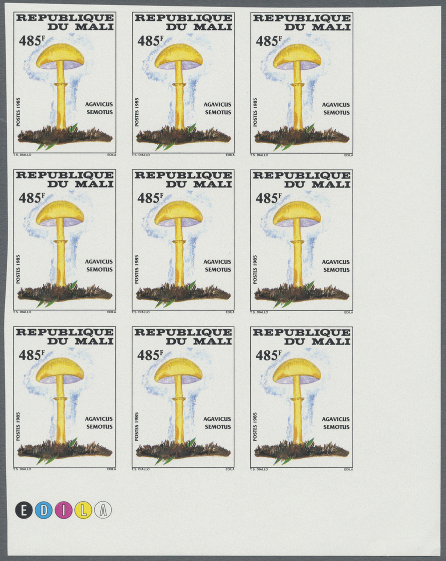 ** Thematik: Pilze / Mushrooms: 1985, MALI: Mushrooms Complete Set Of Four Values In IMPERFORATE Blocks Of Nine From Low - Mushrooms