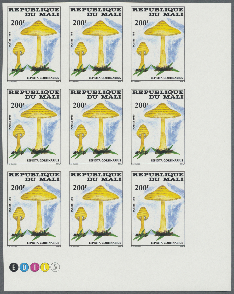 ** Thematik: Pilze / Mushrooms: 1985, MALI: Mushrooms Complete Set Of Four Values In IMPERFORATE Blocks Of Nine From Low - Mushrooms