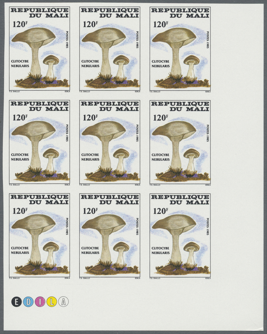 ** Thematik: Pilze / mushrooms: 1985, MALI: mushrooms complete set of four values in IMPERFORATE blocks of nine from low