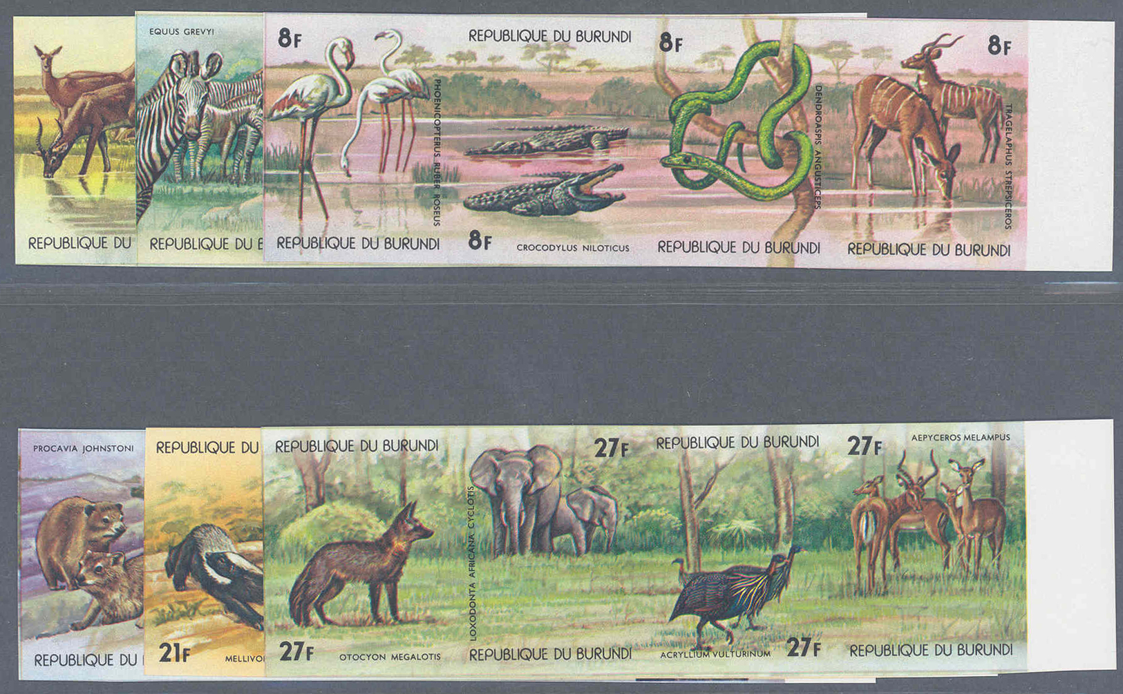 ** Thematik: Tiere- Exotische Tiere / Animals-exotic Animals: 1977, Burundi, Afrikan. Tierwelt Komplett In Zwölf UNGEZÄH - Autres & Non Classés