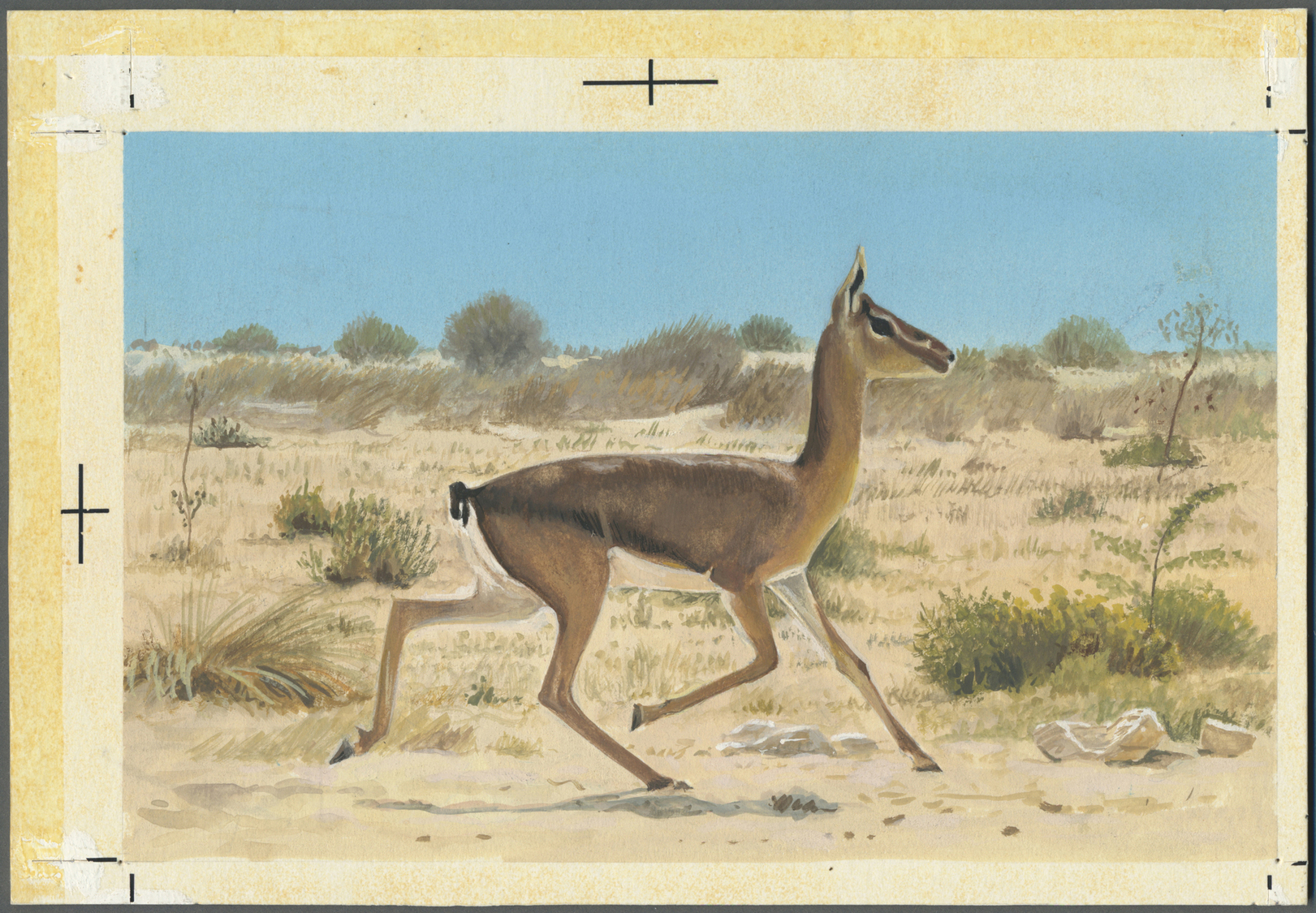 Thematik: Tiere, Fauna / Animals, Fauna: 1982, Bahrain. Artist's Drawing For The First 100f Value Of The Set "Al-Areen W - Other & Unclassified