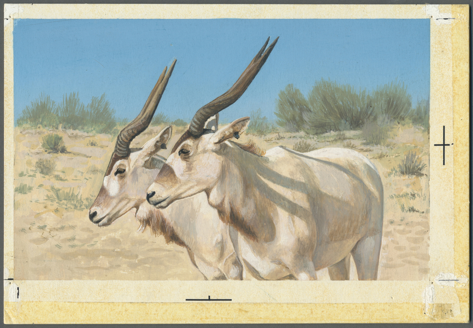 Thematik: Tiere, Fauna / Animals, Fauna: 1982, Bahrain. Artist's Drawing For The Sixth 100f Value Of The Set "Al-Areen W - Other & Unclassified