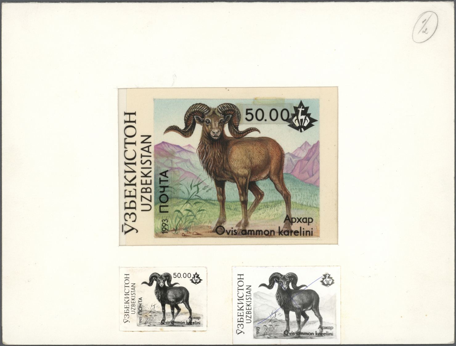 Thematik: Tiere, Fauna / Animals, Fauna: 1993, Uzbekistan. Set Of 4 Artworks And Also 8 Essay Fotos (different Designs) - Other & Unclassified