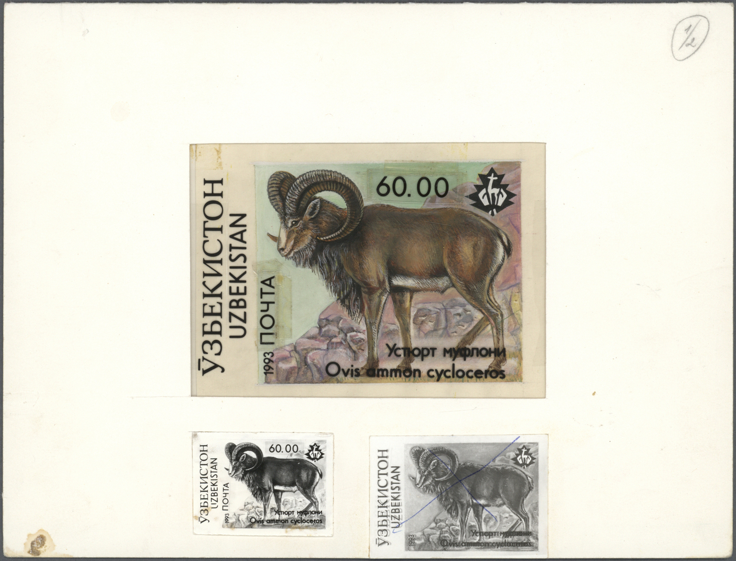 Thematik: Tiere, Fauna / animals, fauna: 1993, Uzbekistan. Set of 4 artworks and also 8 essay fotos (different designs)