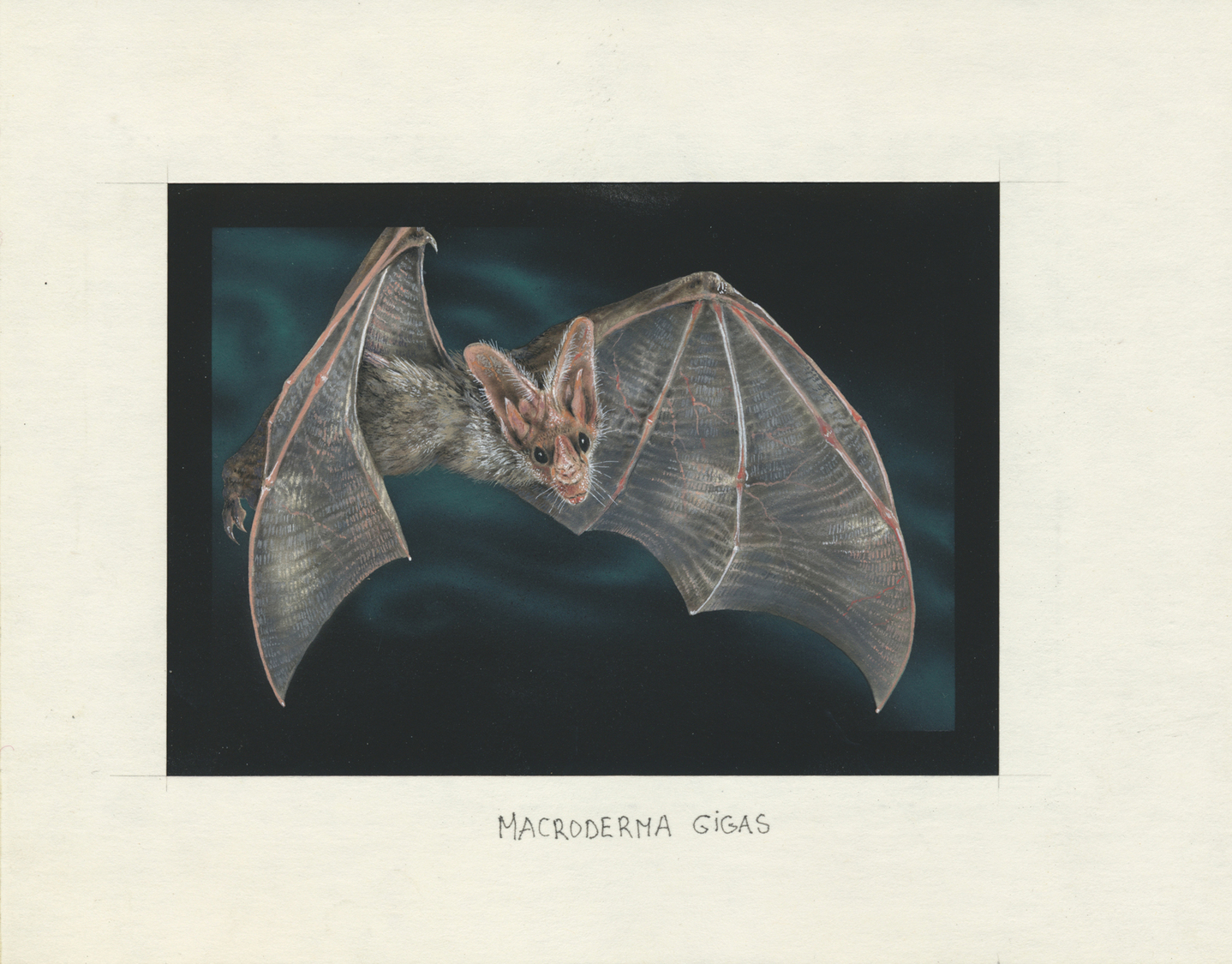 Thematik: Tiere, Fauna / Animals, Fauna: 1995, Tanzania. Nice Lot Of In All 6 Artworks For Some Stamps Of The BATS Serie - Other & Unclassified