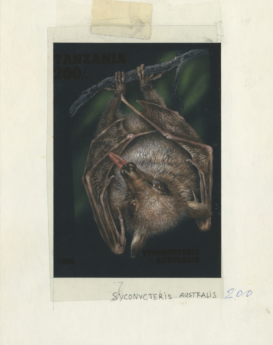 Thematik: Tiere, Fauna / Animals, Fauna: 1995, Tanzania. Nice Lot Of In All 6 Artworks For Some Stamps Of The BATS Serie - Other & Unclassified