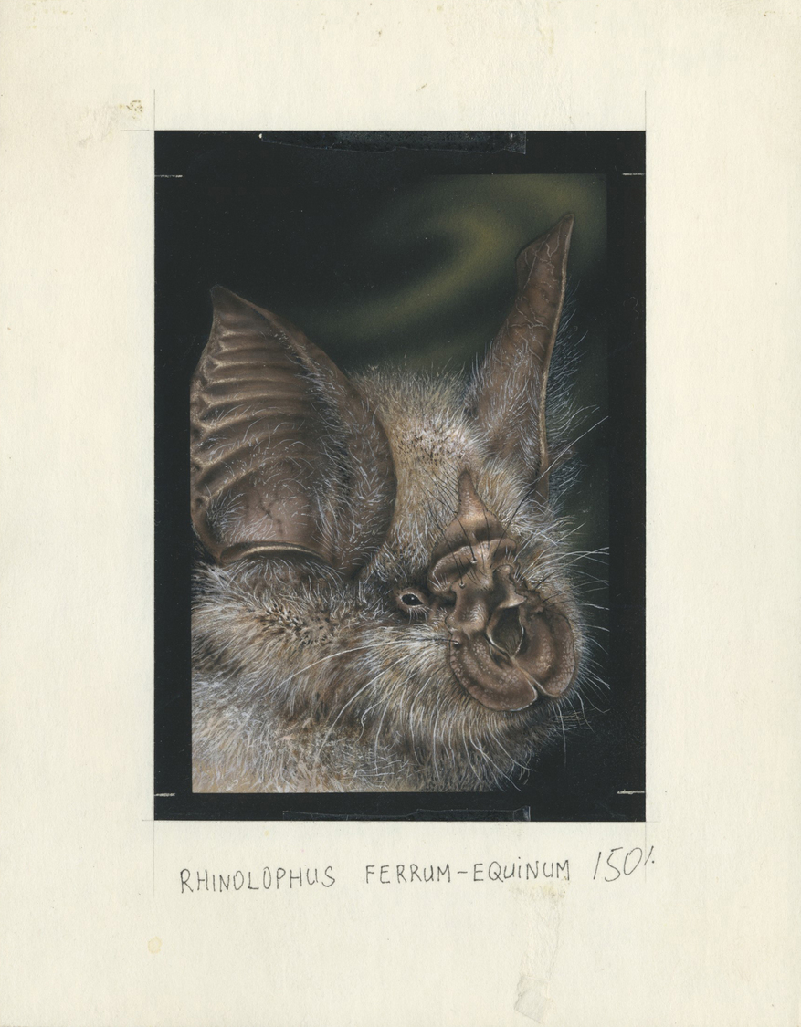 Thematik: Tiere, Fauna / animals, fauna: 1995, Tanzania. Nice lot of in all 6 artworks for some stamps of the BATS serie