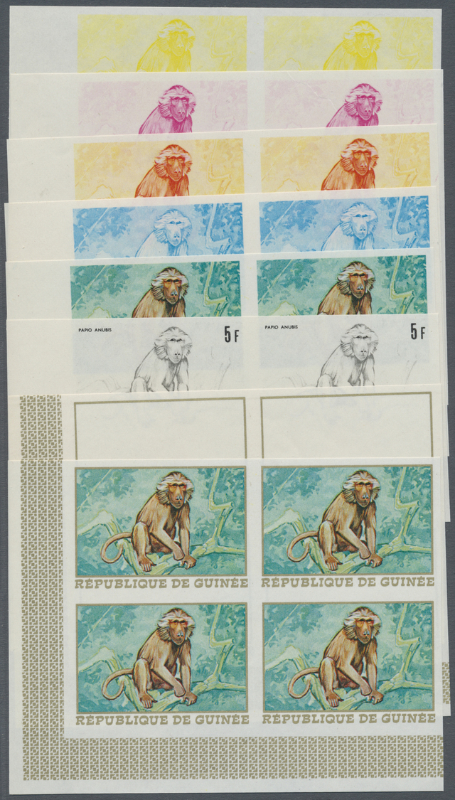 ** Thematik: Tiere-Affen / Animals-monkeys: 1968, Guinea. Extraordinary Progressive Color Proof (8 Phases) In Corner Blo - Monkeys