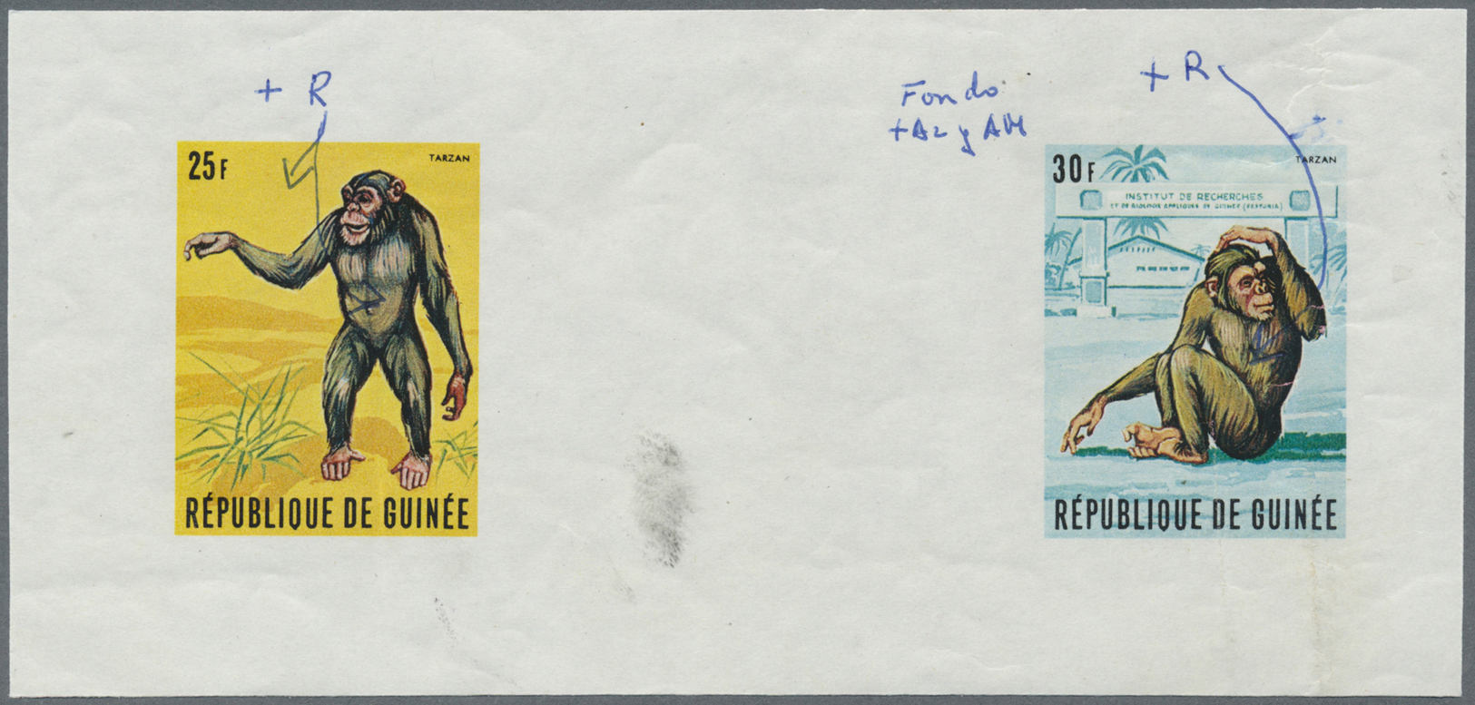 ** Thematik: Tiere-Affen / Animals-monkeys: 1969, Guinea. Imperforate Proofs In Issued Colors For The Complete Set TARZA - Monkeys