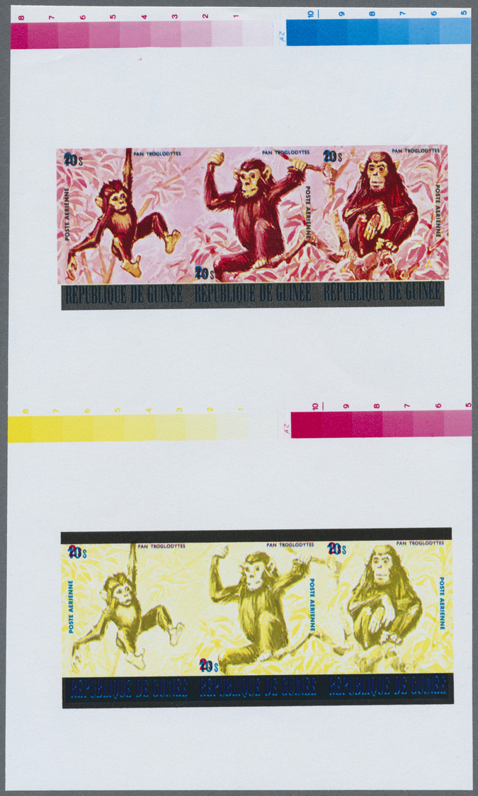 ** Thematik: Tiere-Affen / Animals-monkeys: 1977, Guinea. Collective Color Proof For 2 Se-tenant Strips Of 3 For The 10s - Monkeys