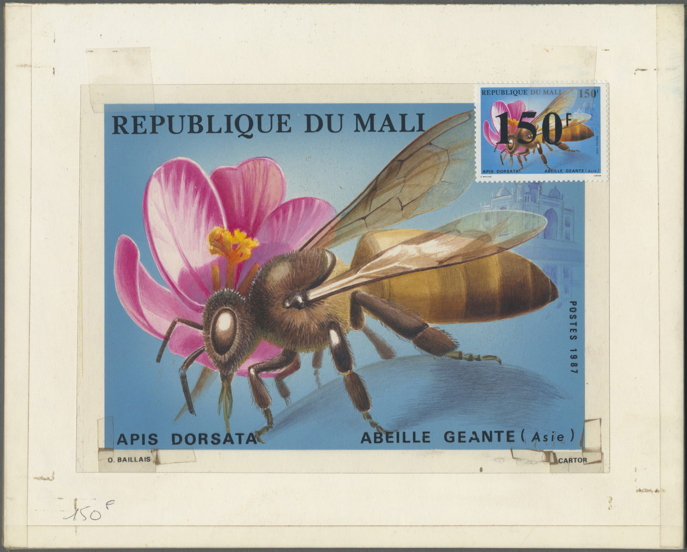 Thematik: Tiere-Bienen / Animals-bees: 1987, Mali. Artwork For The 150fr Value Of The "Bees" Series Showing "Apis Dorsat - Honeybees