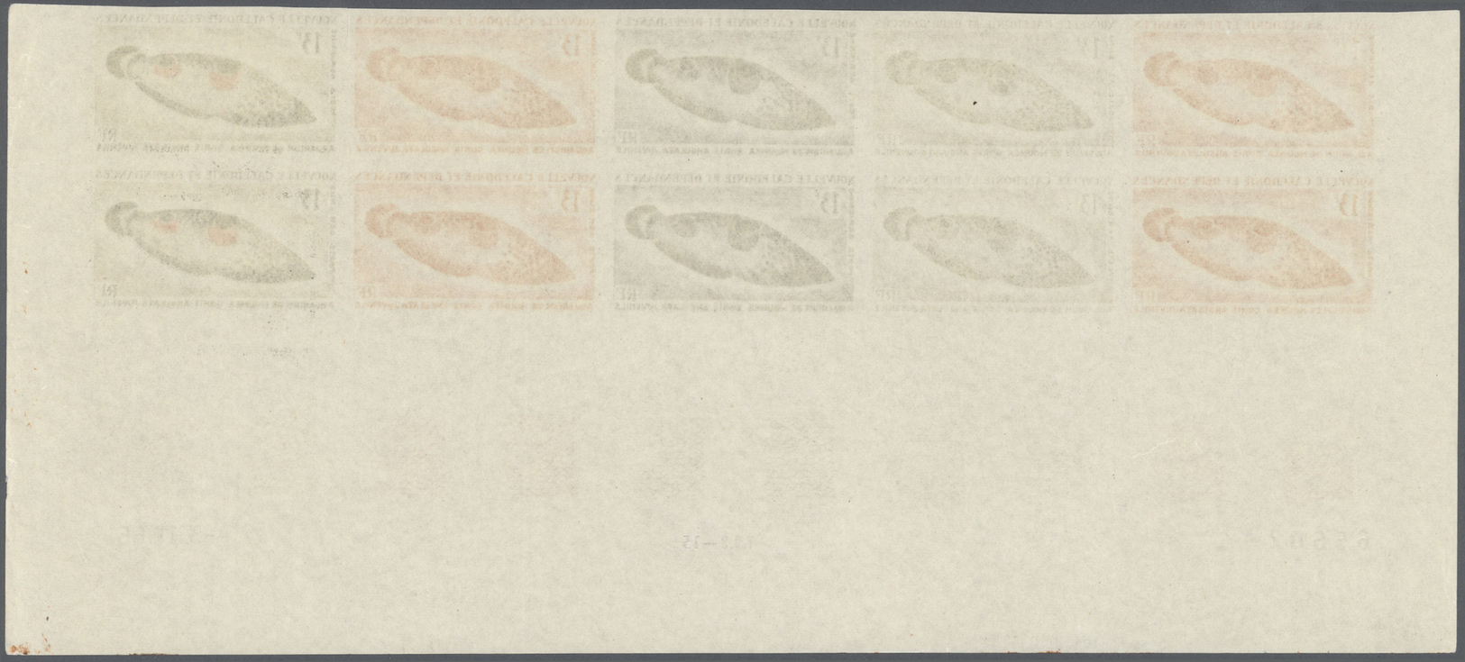 ** Thematik: Tiere-Fische / Animals-fishes: 1965, Nouvelle Caledonie: Fishes Complete Issue In 2x Five Different Colour- - Pesci