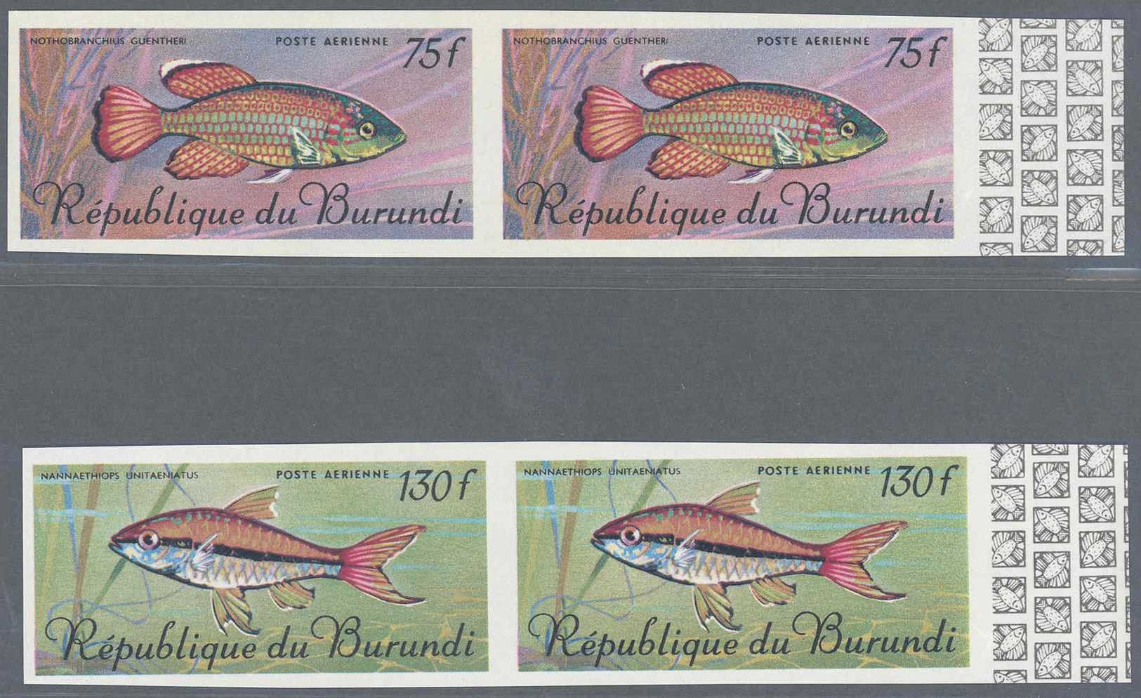 ** Thematik: Tiere-Fische / Animals-fishes: 1967, Burundi, Fische Flugpostausgabe Komplett In UNGEZÄHNTEN Randpaaren, Im - Poissons