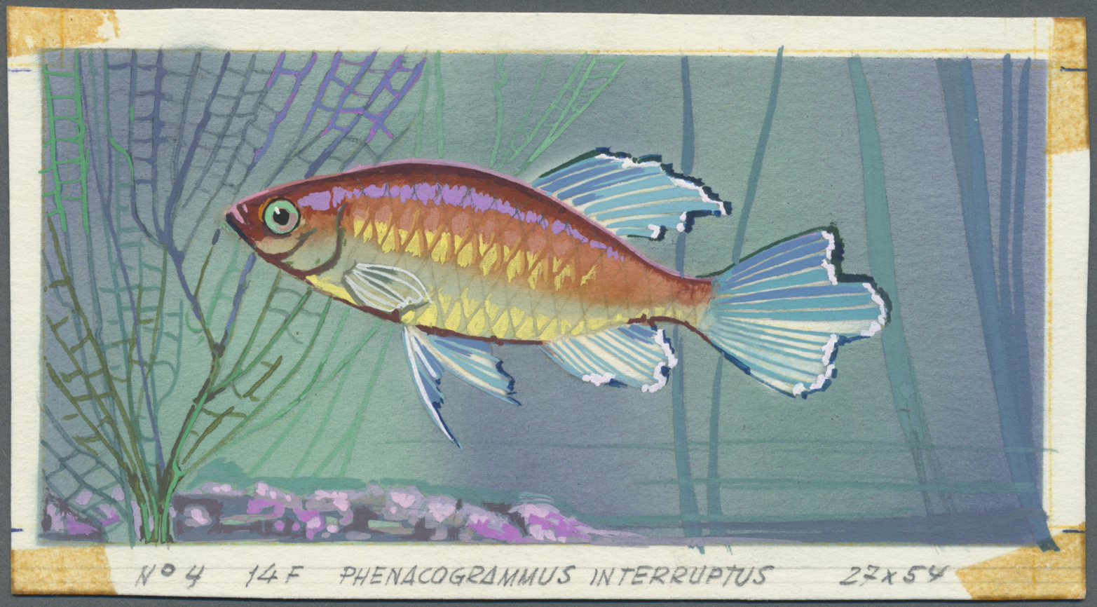 Thematik: Tiere-Fische / Animals-fishes: 1967, Burundi. Artist's Drawing For The 14fr Value Of The Tropical Fish Series - Fishes