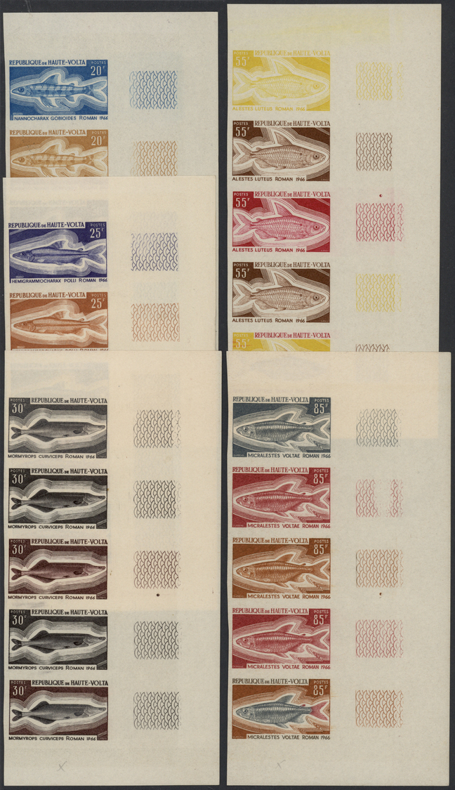 ** Thematik: Tiere-Fische / Animals-fishes: 1969, Upper Volta (now Burkina Faso). PROGRESSIVE PROOFS In Strips Of 5 For  - Fishes