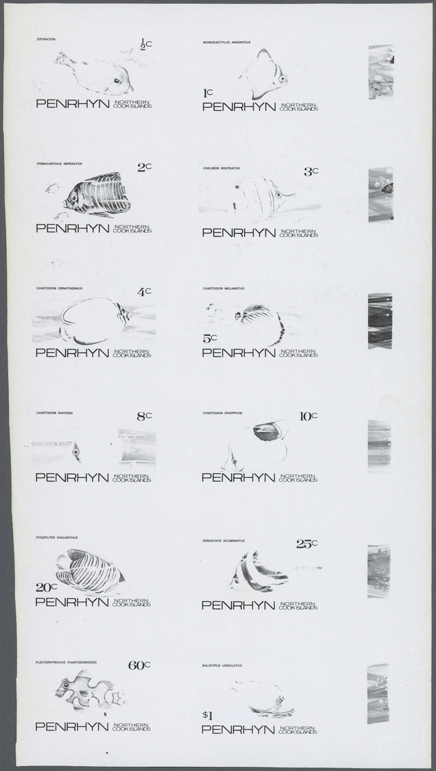 ** Thematik: Tiere-Fische / Animals-fishes: 1974, Penrhyn, FISHES OF THE PACIFIC - 8 Items; Collective, Progressive Sing - Fishes