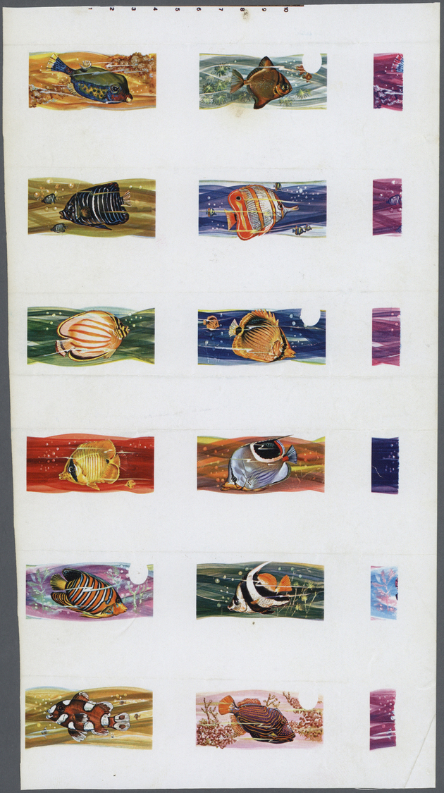 ** Thematik: Tiere-Fische / Animals-fishes: 1974, Penrhyn, FISHES OF THE PACIFIC - 8 Items; Collective, Progressive Sing - Fishes