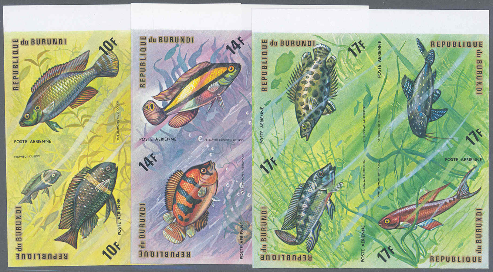 ** Thematik: Tiere-Fische / Animals-fishes: 1974, Burundi, Fische Komplette Serie Mit Flugpostmarken In UNGEZÄHNTEN Post - Fishes