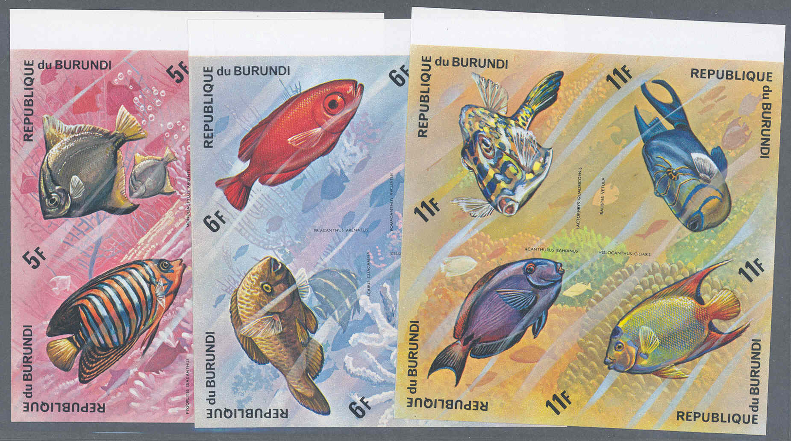 ** Thematik: Tiere-Fische / Animals-fishes: 1974, Burundi, Fische Komplette Serie Mit Flugpostmarken In UNGEZÄHNTEN Post - Fishes
