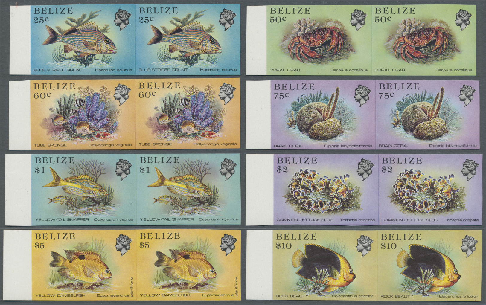 ** Thematik: Tiere-Fische / Animals-fishes: 1984 Belize: Complete Set Of 18 Marginal Pairs IMPERFORATED, Mint Never Hing - Fishes
