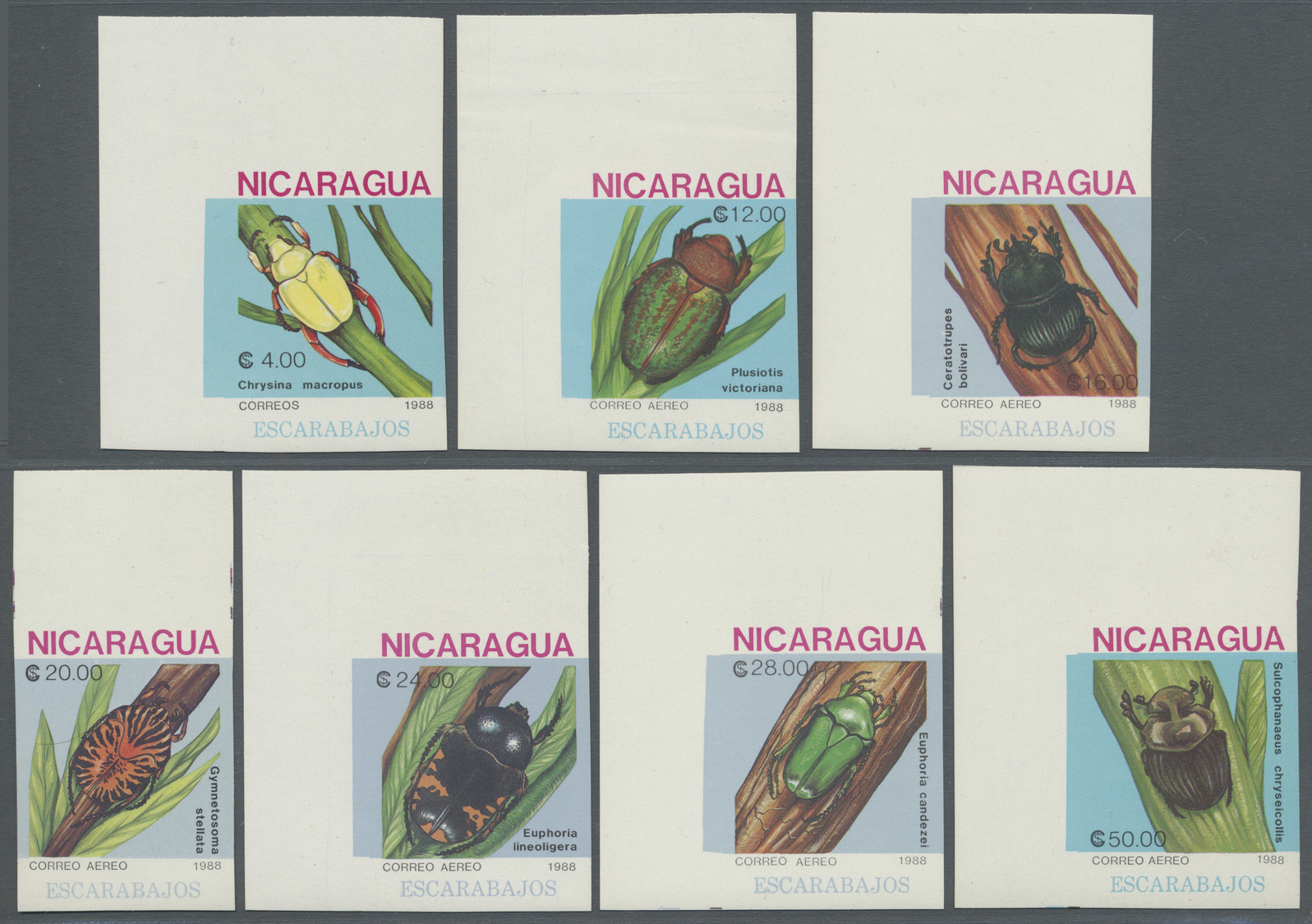 ** Thematik: Tiere-Insekten / Animals-insects: 1988, Nicaragua. Complete Imperforate Insects Series Showing Various "Bee - Other & Unclassified