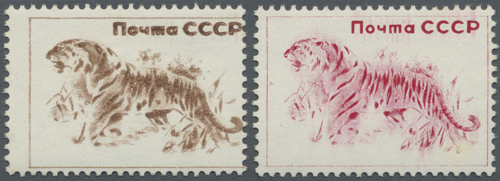** Thematik: Tiere-Katzen / Animals-cats: 1970, Two Proofs, Probably For The 20 Kop. Siberian Tiger Issue. - Domestic Cats