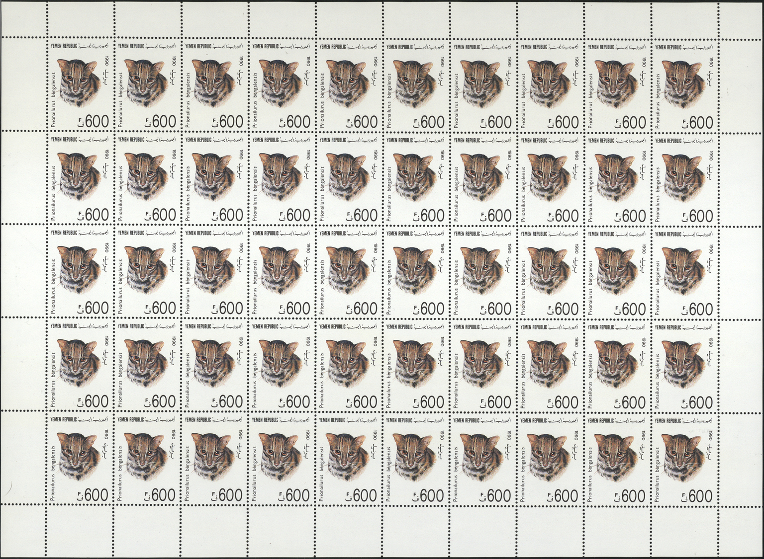 ** Thematik: Tiere-Katzen / animals-cats: 1990, Yemen, 5f. to 600f., complete set of seven values as sheets of 50 stamps
