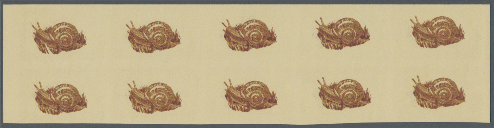 (*) Thematik: Tiere-Meerestiere-Muscheln / Animals-sea Animals-shells: 1963, Dubai, 25np. "Vivipara Fasciata", Imperfora - Coneshells