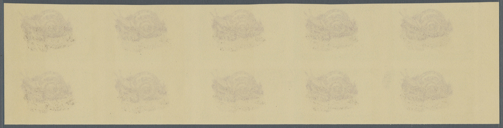 (*) Thematik: Tiere-Meerestiere-Muscheln / Animals-sea Animals-shells: 1963, Dubai, 25np. "Vivipara Fasciata", Imperfora - Coneshells